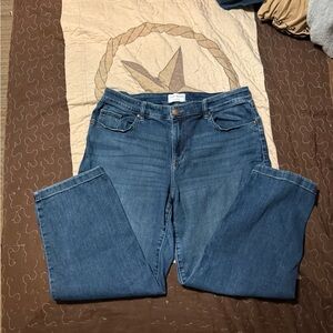 Lane Bryant Classic Blue Straight Leg Jeans